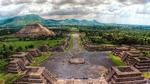 Mexico City Private Tour with Teotihuacan, Murals, Guadalupe Basilica