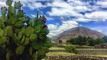 Teotihuacan and Tula Private Archeology Tour from Mexico City