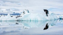 Iceland Glacier Lagoon and South Coast Private Day Tour from Reykjavik