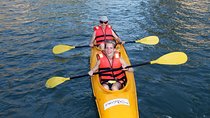 Full-Day Halong Bay Tour Including Kayaking from Hanoi
