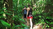 2-Day Khao Sok Jungle Safari from Krabi