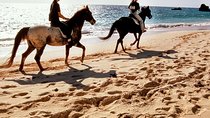 Krabi Horse Riding at Ao Nam Mao Beach