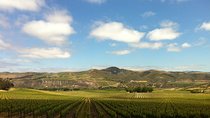 Private Wine Tour from the Santa Ynez Valley
