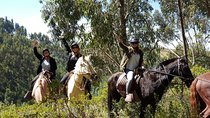 Half day Horseback Riding tour around Sacsayhuaman park