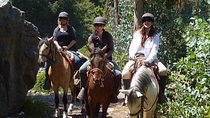 Horseback Riding Plus Tour to Sacsayhuaman, Quenqo, Puka Pucara and Tambomachay