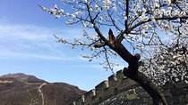 Early Bird Great Wall Tour at Mutianyu