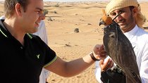 Falcon 1—Private Dubai Falconry Safari