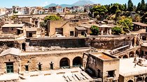 Herculaneum Ruins Private Half-Day Tour
