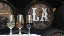 Wine Tour to Sanlucar de Barrameda from Seville with Optional Horse Riding