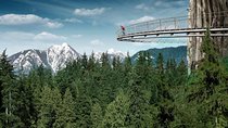 Vancouver Sightseeing and Suspension Bridge Small Group Tour
