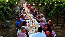Chianti vineyards: Small-Group tour with wine tasting & Dinner