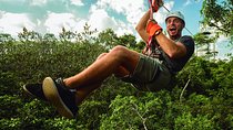 Selvatica Adventure Park: Ziplines and Cenote Tour from Cancun and Riviera Maya