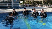PADI Discover Scuba Diving in Playa del Carmen