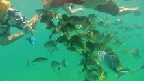 Private Snorkel Cruise in Cabo San Lucas