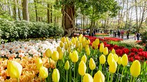 Amsterdam: Half Day Guided Keukenhof Tulip Garden Tour