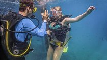 Discover Scuba experience at Las Caletas, Puerto Vallarta
