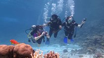 Intro Diving In Sharm El Sheikh