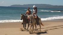 Horseback Riding Jungle and Beach in Playa Flamingo