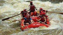 White Water Rafting High Water in Zambia February to July