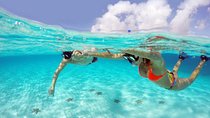 Cozumel Snorkeling Adventure full day Tour