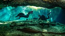 Go for 2 dives in cenote Dos ojos for certified divers