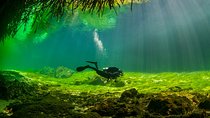 Amazing beginner dive in Tulum cenote (or refresher dive)