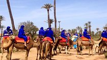 Marrakech activities: Camel ride tour Marrakech