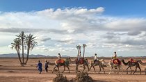 Top Activities: Sunset Camel Ride in the Palm Grove of Marrakech