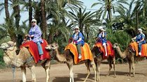 Activity: Half Day Camel Ride At Palm Grove Of Marrakech
