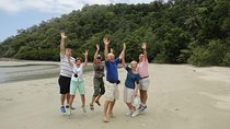 Private Daintree Wanderer Tour