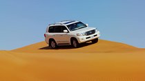 Dubai Desert Safari with Dune Bashing & Camel Ride– Private (RAK)