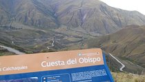 One Day Tour of Cachi and Calchaquí Valleys from Salta