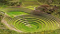 Morning: Maras and Moray half day tour with entrances
