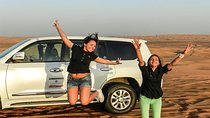 Dubai afternoon Desert Safari Private(Outdoor Activities )