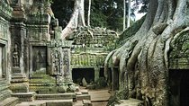 Angkor Wat, Angkor Thom Ancient Capital, Ta Promh Temple 