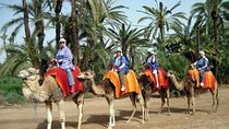 Marrakech Half-Day Camel Ride in Palm Grove