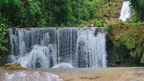 South Coast Tour: YS Falls, Black River Safari