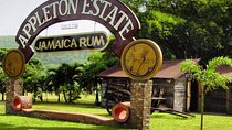 Private Appleton Estate Rum Tour & Tasting from Ocho Rios