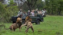 Cape Town South Africa, 2 Days Overnight Safari Tour Game Reserve