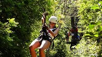 Canopy Tour In Tamarindo Beach