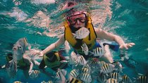 Full-Day Snorkeling Trip to Sharm El Naga from Hurghada