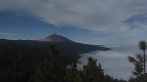 Volcano Teide National Park And North Of The Island VIP TOUR