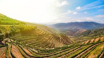 Full Day, Wine Tasting, River Cruise and Lunch from Porto