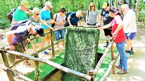 Cu Chi Tunnels - Half Day Morning or Afternoon Luxury Tours