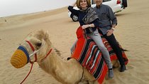 Dubai Desert Safari A Morning Tour For Private group