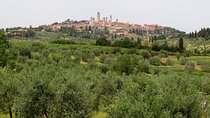 Private Tour to Siena and San Gimignano with Wine Tasting & Lunch