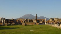 Private VIP tour to Pompeii Ruins with a Private Guide 