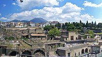 Private Vip Tour of Pompeii Day Trip From Rome