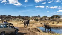 3 Day Private camping Safari in Serengeti National Park