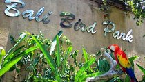  Private Tour Bali Bird Park And Ubud Tour